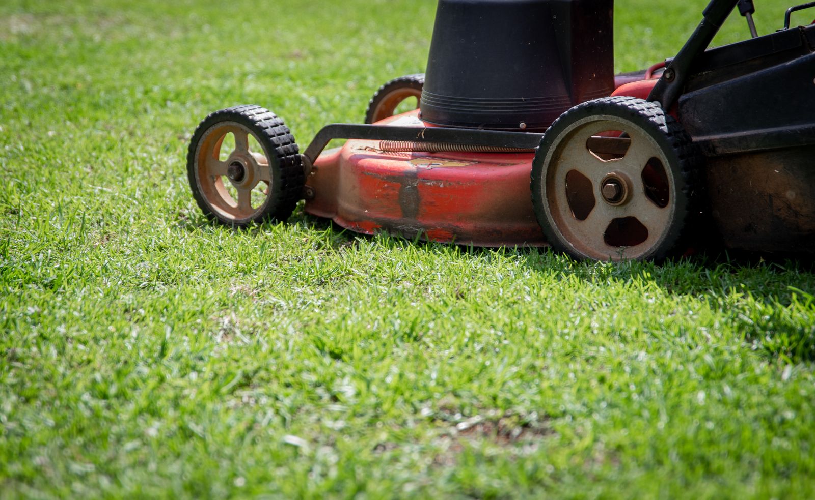 Lawn Care & Mowing — landscaping in the Upstate